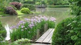 Japanese Garden, Missouri Botanical Garden