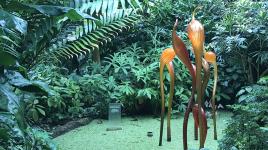 Climatron, St. Louis, MO