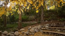 Mildred E. Mathias Botanical Garden, Los Angeles, CA