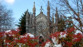 Mount Auburn Cemetery, Cambridge, MA