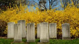 Mount Auburn Cemetery, Cambridge, MA