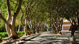 Franklin D. Murphy Sculpture Garden, Los Angeles, CA 