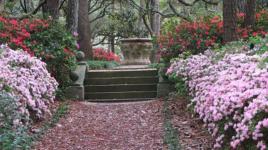 Elizabethan Gardens, Manteo, NC