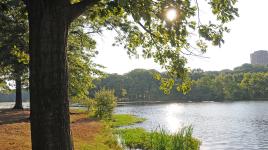 Weequahic Park, Newark, NJ