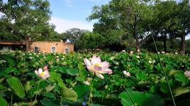 Los Poblanos Historic Inn & Organic Farm 