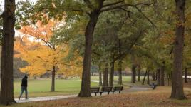 Alley Pond Park, Queens, NY