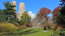 Strawberry Fields, Central Park, New York City, NY