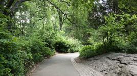 Strawberry Fields, Central Park, New York City, NY