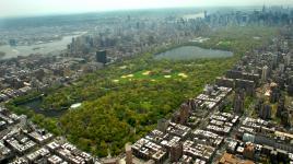 Aerial view of Central Park, New York City