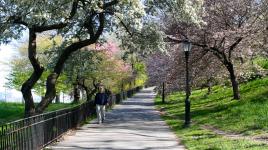 Riverside Park, New York City