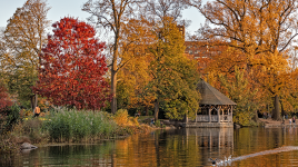 Prospect Park, Brooklyn, NY