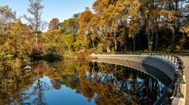 Prospect Park, Brooklyn, NY