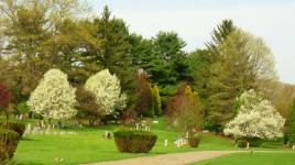 Woodlawn Cemetery, Elmira, NY