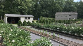 Eleanor Roosevelt National Historic Site, Hyde Park, NY