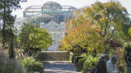 New York Botanical Garden, Bronx, NY