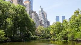 Central Park, New York City