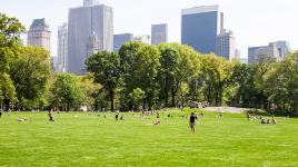 Central Park, Sheep's Meadow, NY, NY