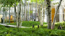 New York Times Building Lobby Garden, New York, NY