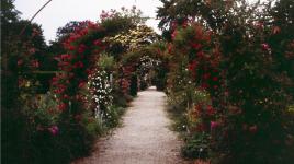 Planting Fields, Oyster Bay, NY