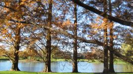 Donald M. Kendall Sculpture Garden, Purchase, NY