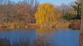 Seneca Park, Rochester, NY