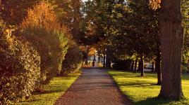 Thompson Park, Watertown, NY