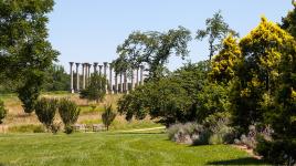 National Arboretum, Washington, DC