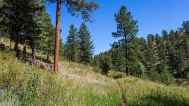 O'Fallon Park, Morrison, CO