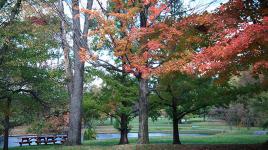 Forest Hill Park, Cleveland, OH