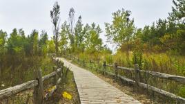 Centre Island, Toronto, ON