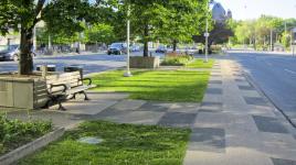 University Avenue - Toronto, ON