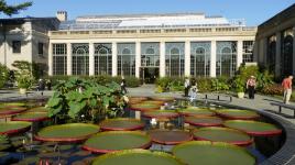 Longwood Gardens, Kennett Square, PA