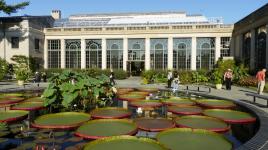 Longwood Gardens, Kennett Square, PA