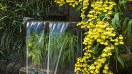 Cascade Garden of Longwood Gardens, Kennett Square, PA