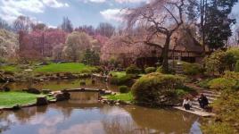 Shofuso Japanese House and Garden, Philadelphia, PA