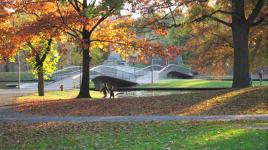 Lake Elizabeth, Pittsburgh, PA