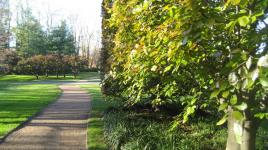 Donald M. Kendall Sculpture Garden, Purchase, NY