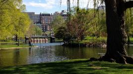 Boston Public Garden, Boston, MA