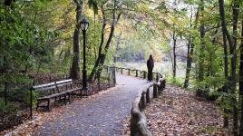 The Ramble in Central Park, New York, NY