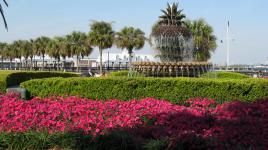 Waterfront Park, Charleston, SC