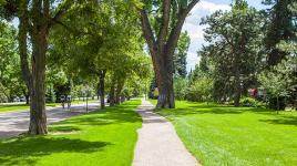 South Marion Street Parkway, Denver, CO 