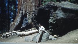 Hideo Sasaki during his jeep trip to Berkeley with Richard Haag in 1950