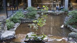 Waterfall Garden at the Sheraton Centre Toronto Hotel