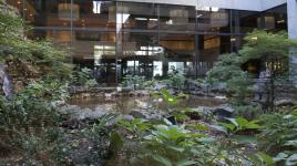 Waterfall Garden at the Sheraton Centre Toronto Hotel