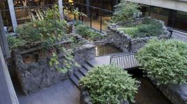 Waterfall Garden at the Sheraton Centre Toronto Hotel