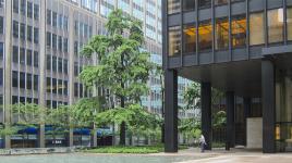 Seagram Building and Plaza, New York, NY