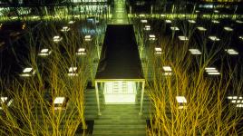 Saitama-Shintoshin Station "Sky Forest" Plaza, Saitama-Ken, Japan