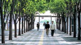 Saitama-Shintoshin Station "Sky Forest" Plaza, Saitama-Ken, Japan