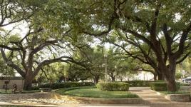 University of Texas, Austin