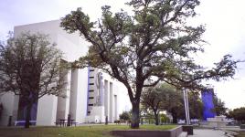 Fair Park, Dallas, TX